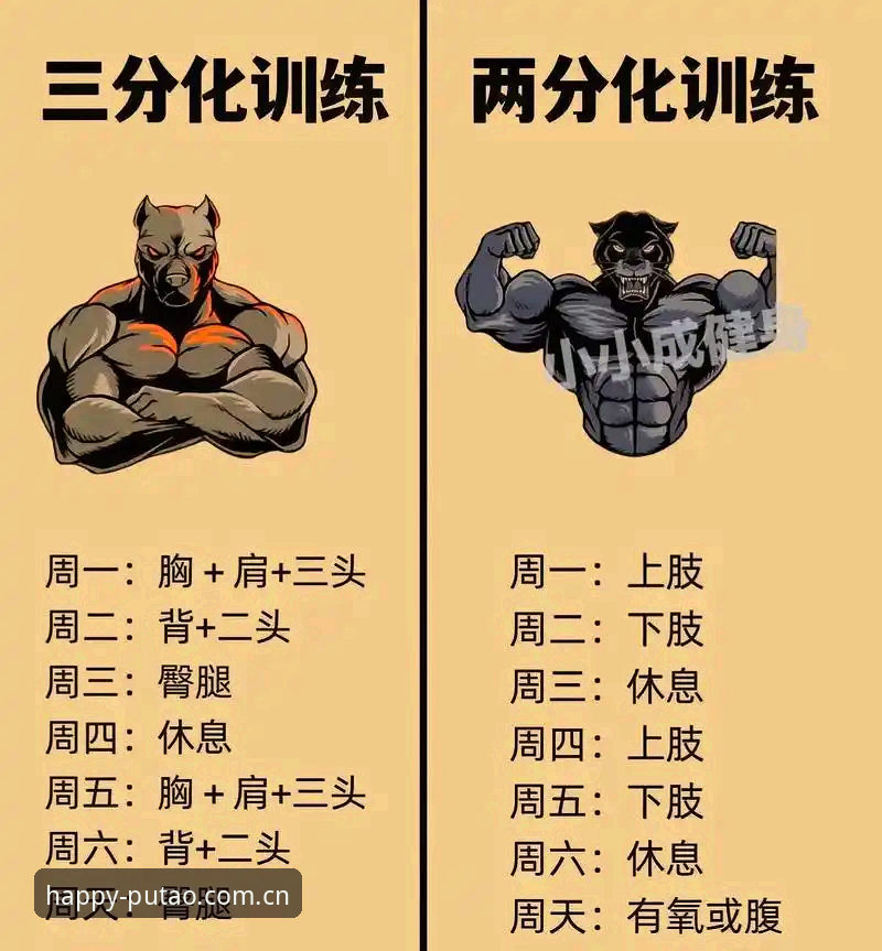 为什么说好心情天天有实时比分是看球老手的必备工具？