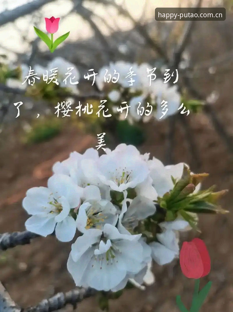 好心情天天有APP下载怎么样 好心情天天有APP下载安装全攻略,三步上手新葡萄8883官网赛事数据
